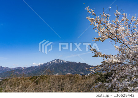 春の恵那山遠望 春の恵那山遠望 130629442