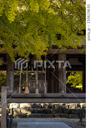 喜多方市にある新宮熊野神社「長床」の大イチョウ 130629630