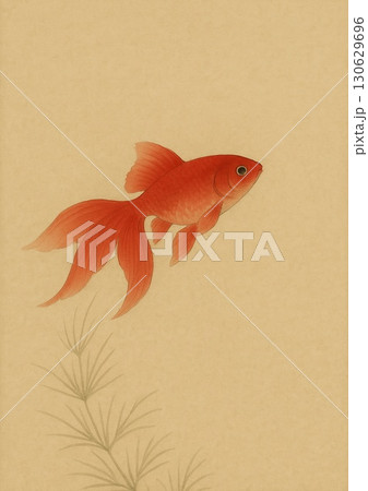 金魚 130629696