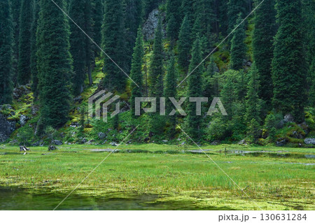 キルギス_カラコル-アラ・キョリ湖 キルギス_カラコル-アラ・キョリ湖 130631284