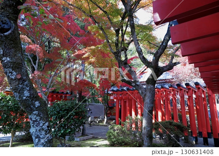 清和源氏ゆかりの多田神社(兵庫県川西市):モミジと鳥居の柱列 清和源氏ゆかりの多田神社(兵庫県川西市):モミジと鳥居の柱列 130631408