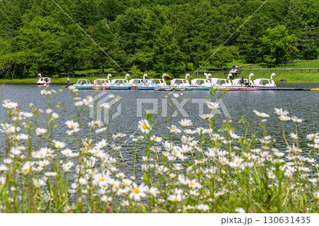 女神湖 女神湖 130631435
