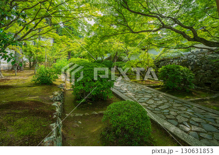 京都府京田辺市の一休寺の新緑を撮影 京都府京田辺市の一休寺の新緑を撮影 130631853