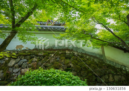 京都府京田辺市の一休寺の新緑を撮影 130631856