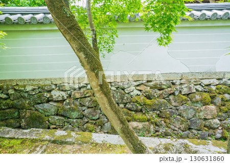 京都府京田辺市の一休寺の新緑を撮影 130631860