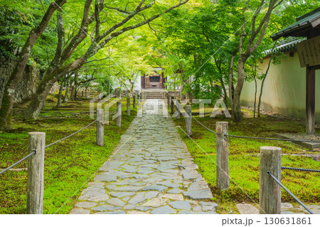 京都府京田辺市の一休寺の新緑を撮影 京都府京田辺市の一休寺の新緑を撮影 130631861