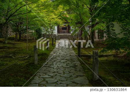 京都府京田辺市の一休寺の新緑を撮影 130631864