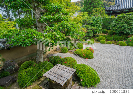 京都府京田辺市の一休寺の新緑を撮影 京都府京田辺市の一休寺の新緑を撮影 130631882