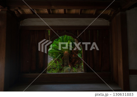 京都府京田辺市の一休寺の新緑を撮影 130631883