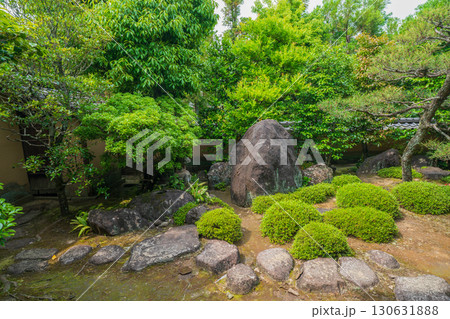 京都府京田辺市の一休寺の新緑を撮影 130631888
