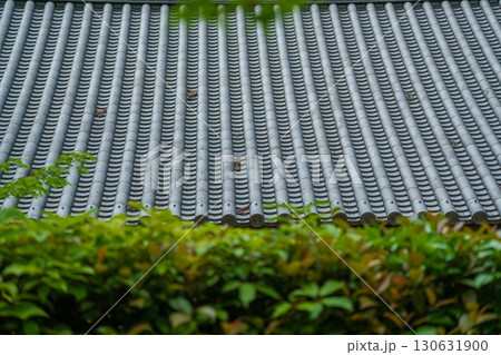 京都府京田辺市の一休寺の新緑を撮影 130631900