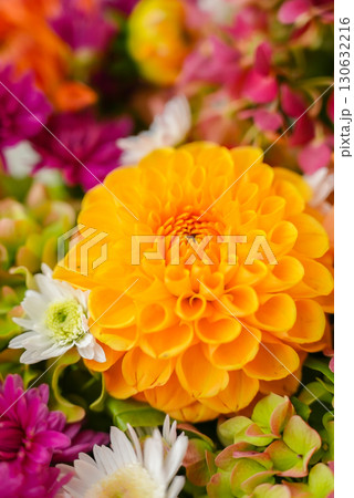 Autumn garden colorful flowers. Beautiful autumnal bouquet dahlia chrysanthemum. Red pink orange fall color fall floral background. Flower shop and florist design concept 130632216