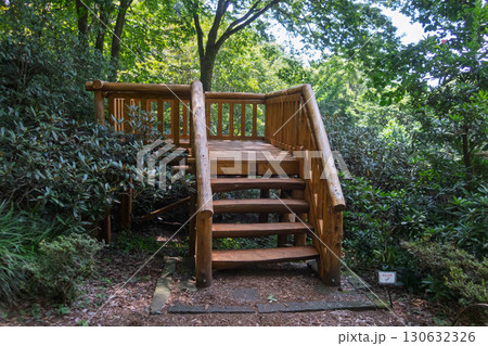 赤城自然園　見晴台　群馬県渋川市 130632326