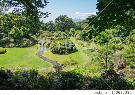 赤城自然園 見晴台からの眺め 群馬県渋川市 赤城自然園 見晴台からの眺め 群馬県渋川市 130632350