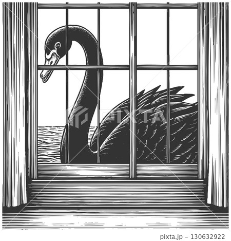 Black Swan Seen Through Window Unexpected Events 130632922