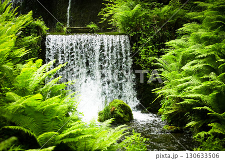 白糸の滝のある風景 白糸の滝のある風景 130633506