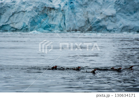 Swimming and Jumping Penguins among the Antarctic Sea Ice 130634171