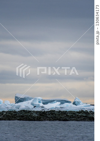 Impression of the Adelie Penguin Colony at the fish islands Impression of the Adelie Penguin Colony at the fish islands 130634173