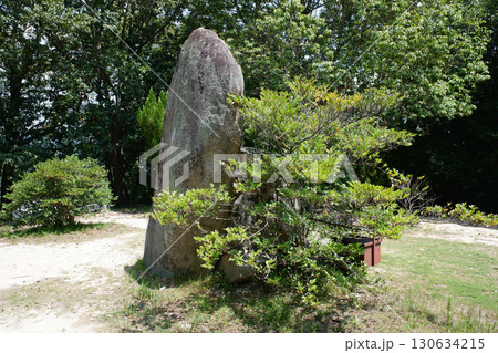 岡山県　楯築遺跡 130634215