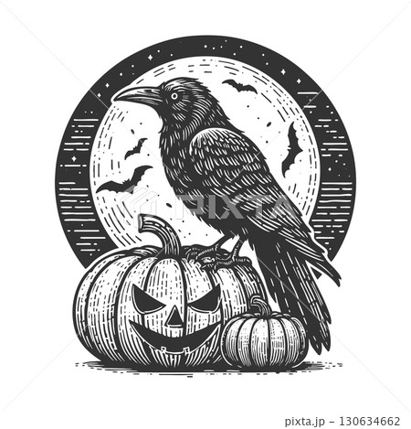 raven with jack-o-lantern pumpkin vector 130634662