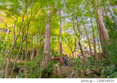 岐阜県美濃市　秋の大矢田神社の本殿への参道の石段を登る参拝者 130634854