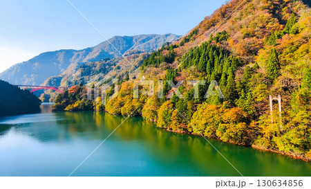 庄川峡（秋） 130634856