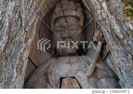 若狭町に所在する城谷山諦応寺山門近くに立つ樹齢約450年の銀杏の木に彫られた十一面観音立 130634971