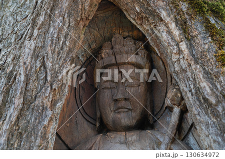 若狭町に所在する城谷山諦応寺山門近くに立つ樹齢約450年の銀杏の木に彫られた十一面観音立 若狭町に所在する城谷山諦応寺山門近くに立つ樹齢約450年の銀杏の木に彫られた十一面観音立 130634972