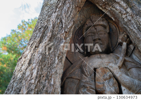 若狭町に所在する城谷山諦応寺山門近くに立つ樹齢約450年の銀杏の木に彫られた十一面観音立 若狭町に所在する城谷山諦応寺山門近くに立つ樹齢約450年の銀杏の木に彫られた十一面観音立 130634973