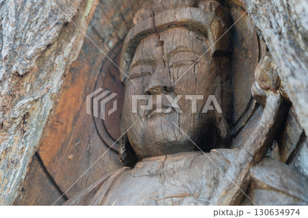 若狭町に所在する城谷山諦応寺山門近くに立つ樹齢約450年の銀杏の木に彫られた十一面観音立 130634974