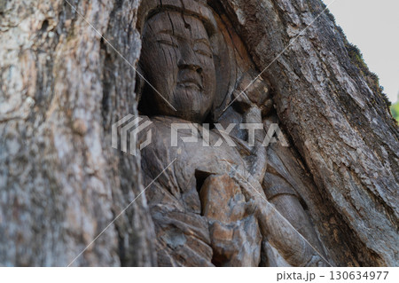 若狭町に所在する城谷山諦応寺山門近くに立つ樹齢約450年の銀杏の木に彫られた十一面観音立 130634977