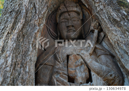若狭町に所在する城谷山諦応寺山門近くに立つ樹齢約450年の銀杏の木に彫られた十一面観音立 130634978