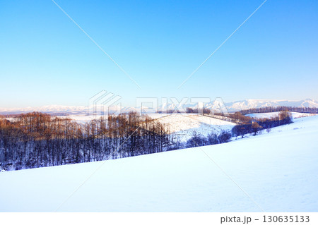北海道美瑛町三愛の丘展望公園から見た大雪山系と十勝岳連峰の風景 130635133