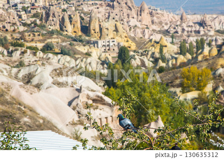 Valley of doves panoramic view near Uchisar castle in sunrise, Cappadocia 130635312
