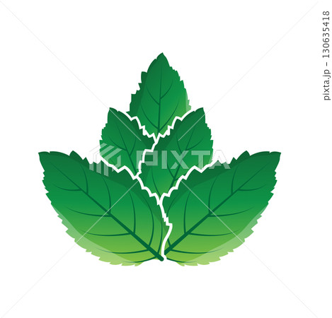 Green Leaf logo vector natural plant nature design icon leaf template illustration 130635418