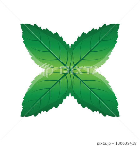 Green Leaf logo vector natural plant nature design icon leaf template illustration 130635419