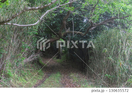 京都府木津川市の里山の風景が広がる山背古道 京都府木津川市の里山の風景が広がる山背古道 130635572