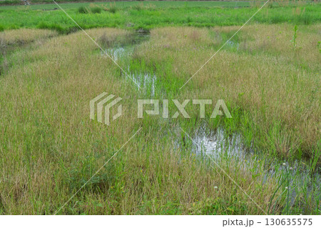 京都府木津川市の里山の風景が広がる山背古道 130635575