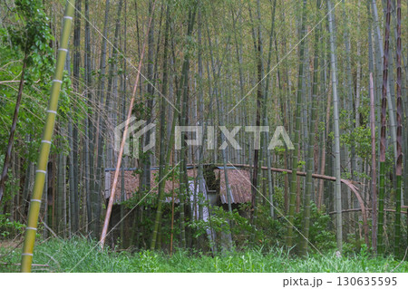 京都府木津川市の里山の風景が広がる山背古道 130635595