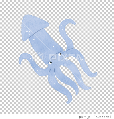 Cute watercolor squid illustration 130635661