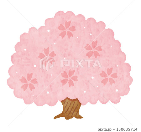 シンプルでかわいい桜の木　Cherry Blossom　桜　Sakura 130635714