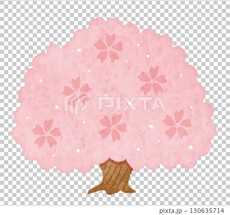 シンプルでかわいい桜の木　Cherry Blossom　桜　Sakura 130635714