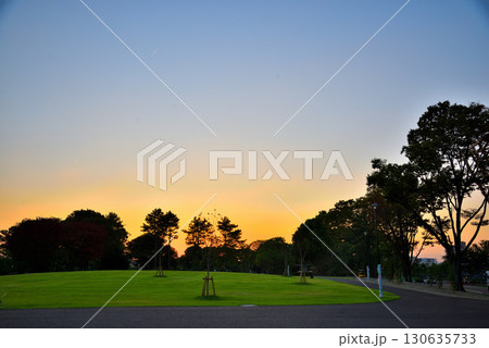 《愛知県》新しくなった名古屋市名城公園北園の芝生広場の夕暮れ 130635733