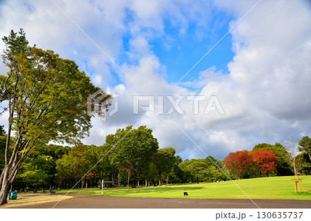 《愛知県》新しくなった名古屋市名城公園北園の芝生広場 130635737