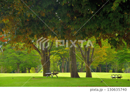 《愛知県》新しくなった名古屋市名城公園北園の芝生広場 130635740