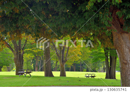 《愛知県》新しくなった名古屋市名城公園北園の芝生広場 130635741
