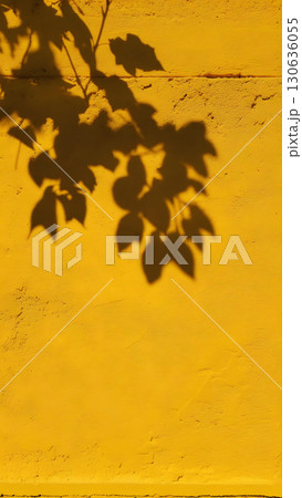 The elongated shadow of a tree branch is cast upon a sunny yellow wall 130636055