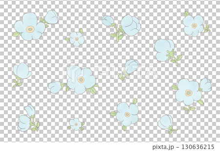 淺藍色花朵插畫 淺藍色花朵插畫 130636215