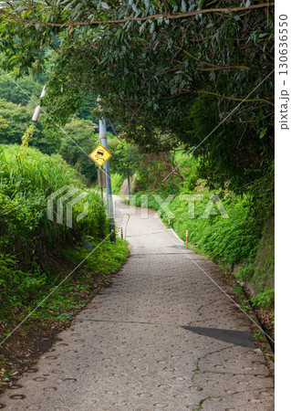 暗峠から大高方面へ下る舗装道の風景 130636550