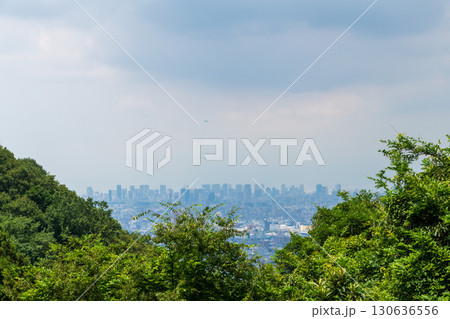 暗峠の中腹から見える大阪ビル街の風景 130636556